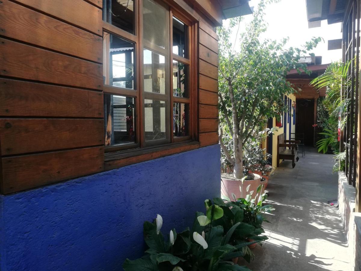 Yellow House Hostel B&B アンティグア・グアテマラ エクステリア 写真